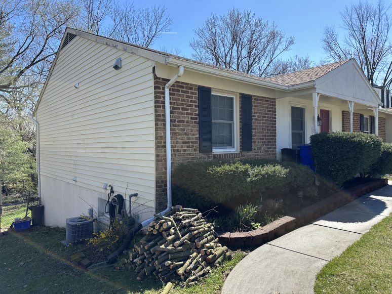 Small Tree & Shrub Removal